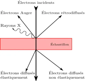 Figure 3.1: Interaction ´electron mati`ere et diff´erents vecteurs d’information en r´esultant.