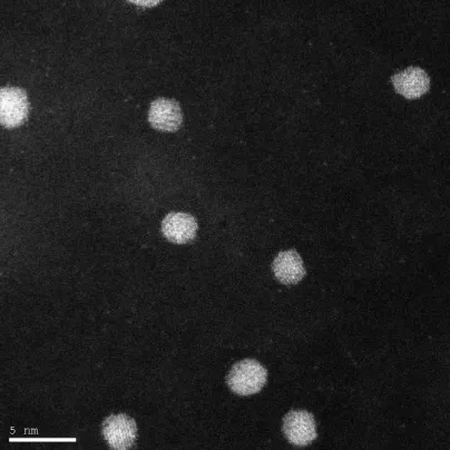 Figure 3.10: Image HAADF atomique d’une assembl´ee de nanoparticules de CoPt.
