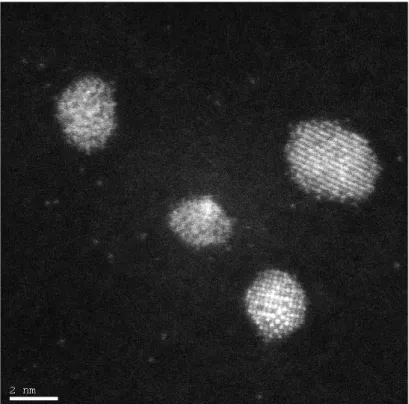 Figure 8.3: Image HAADF de nanoparticules CoPt ordonn´ees (microscope Titan 300 kV, Minatec-Grenoble).