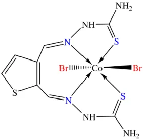 Figure 2-34 : Structure du complexe [CoBr 2 (2,3BTSTCH 2 )]. 