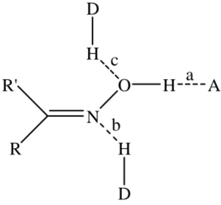 Figure 1-35 : Liaisons hydrogène dans les oximes   (D : atomes électronégatifs, A : atome donneur de doublet)