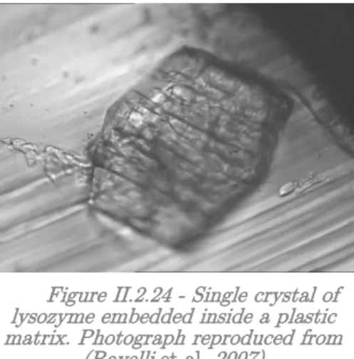 Figure II.2.24 - Single crystal of  lysozyme embedded inside a plastic  matrix. Photograph reproduced from 