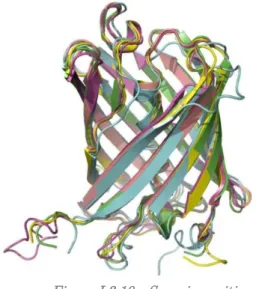 Figure I.3.10 - Superimposition  demonstrating the common -barrel  structure of different FPs: EosFP (green), 