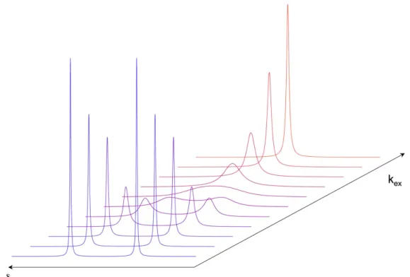 Figure 2.2 – Représentation de l’échange chimique sur un spectre 1D. Nous sommes en présence de deux sites de populations identiques en échange