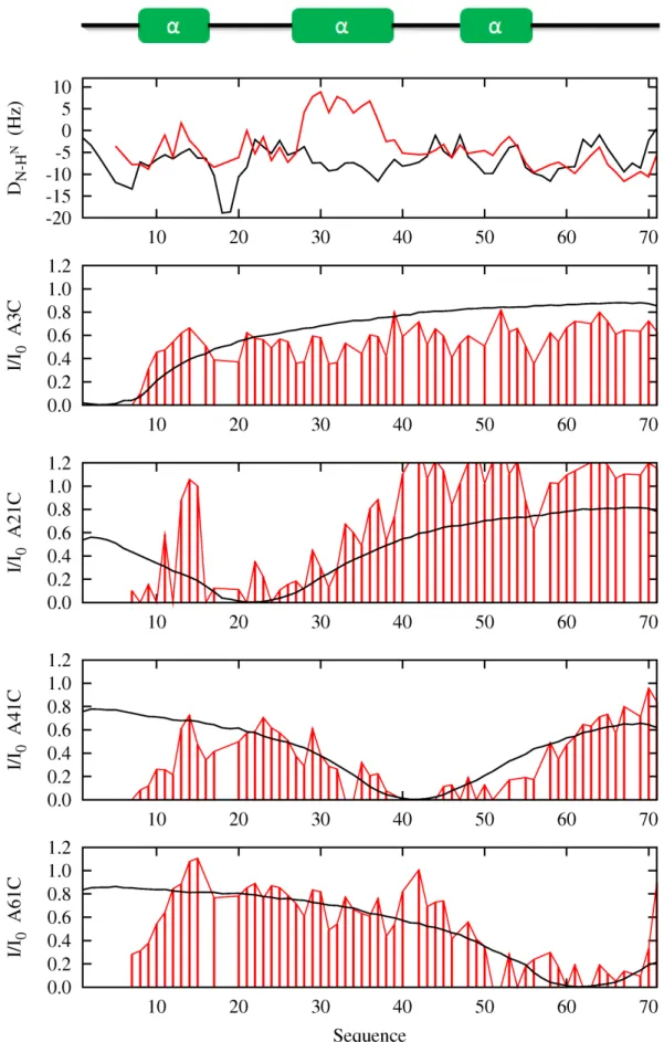 Figure 4.6 – Comparaison d’une simulation random-coil aux données expérimentales de ACTR.