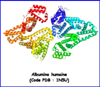 Figure 5 : Structure de l’albumine humaine sous sa forme apo