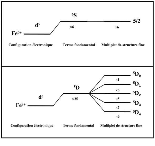 Figure 2.2 : Schéma de niveaux des ions libres  Fe 3+  et Fe 2+ 