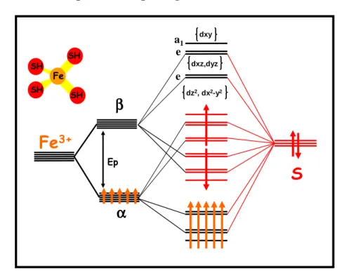 Figure 2.12 : Niveaux d'énergies du complexe fer-soufre [Fe III (SH) 4 ] 2- 