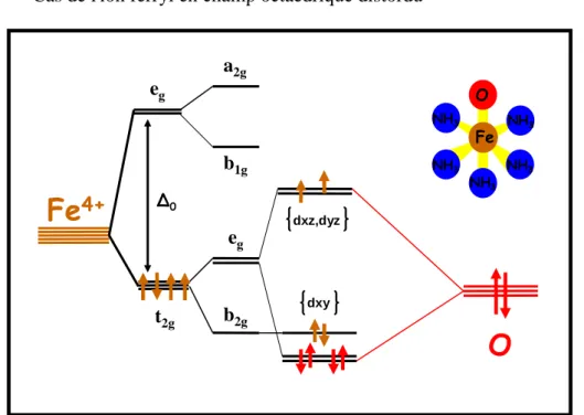 Figure 2.14 : Schéma simplifié des niveaux d'énergies du complexe [(NH 3 ) 5 Fe IV O] 2+