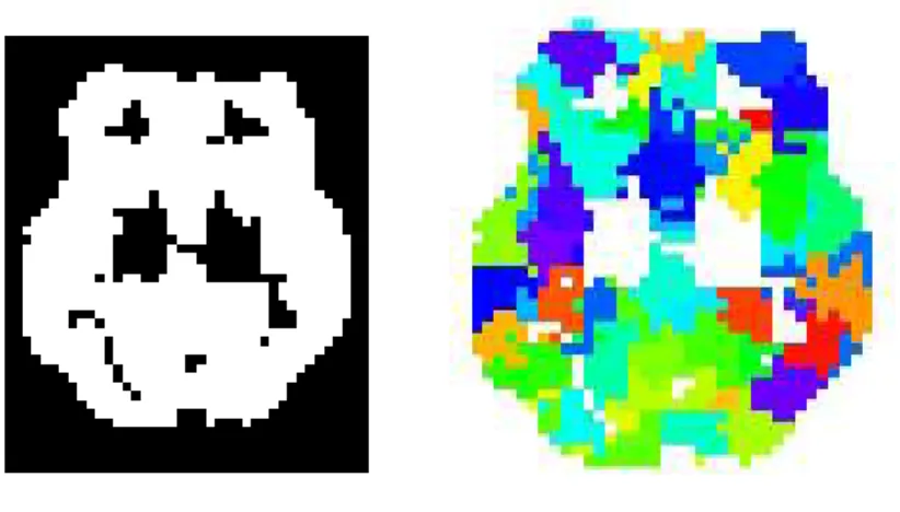 Fig. III.7 – ` A gauche, version dilat´ee d’une coupe du masque anatomique du cerveau sur la base duquel est calcul´ee la parcellisation