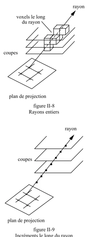figure II-8  Rayons entiers 