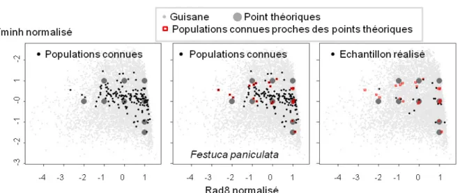 Fig. 1.9. Ecart entre populations échantillonnées et points définis théoriquement : cas de Festuca  paniculata