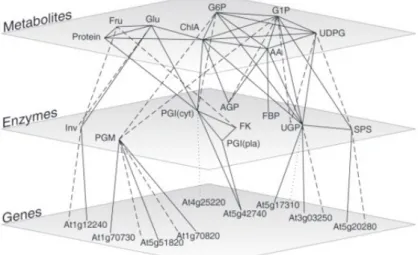 Figure 1.3: Metabolic network reconstruction showing how to move from the gene content to a set of enzymes and, ﬁnally, to the list of biochemical reactions corresponding to the metabolic network of an organism