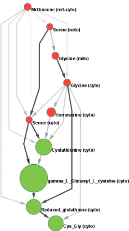 Figure 3.2: One possible metabolic story connecting all metabolites of interest. Each arc in this graph corresponds to a reaction (black arcs) or to a chain of reactions (grey arcs) in the original metabolic network