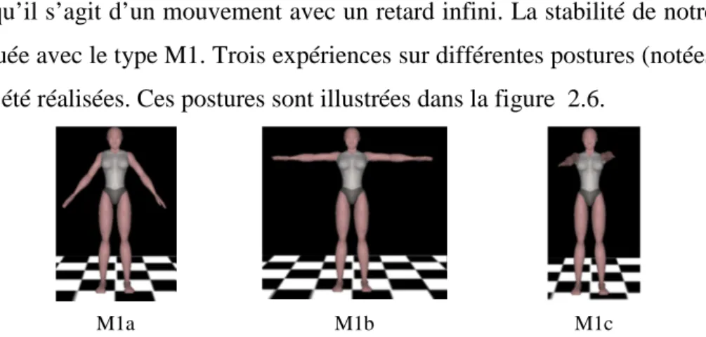 Figure 2.6 : Trois postures différentes pour l’expérience. 