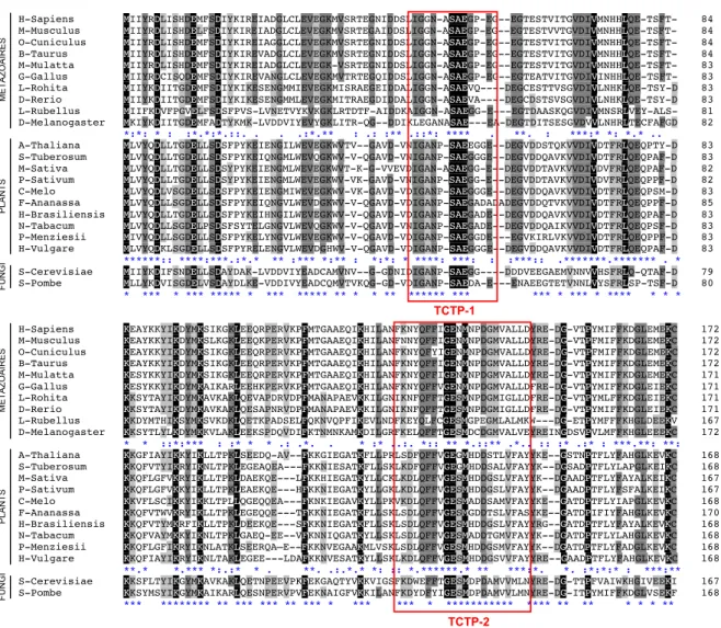 Figure 32 : Alignements des séquences de la protéine TCTP de 22 espèces différentes.