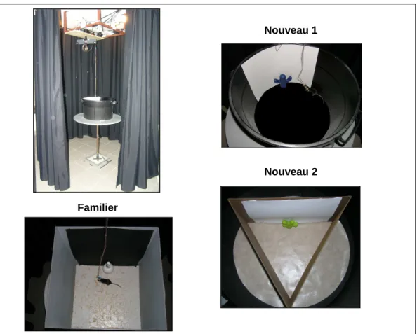 Figure  7.1.  Photos  des  environnements  utilisés  dans  l’expérience.  Avant  le  début  des  enregistrements, les souris ont été familiarisées à l’environnement carré pendant 3 semaines