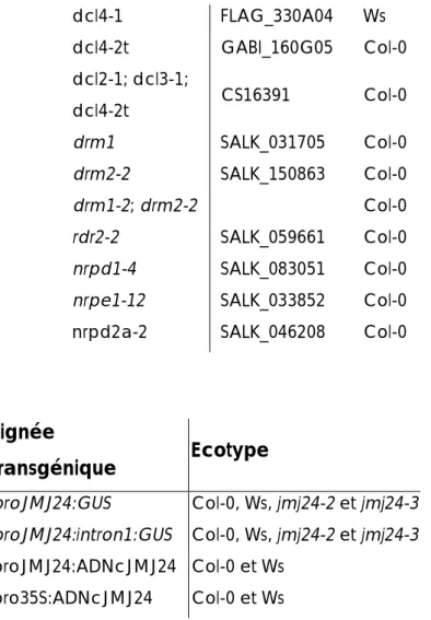 Tableau 3.2 :  Liste des lignées  transgéniques créées 