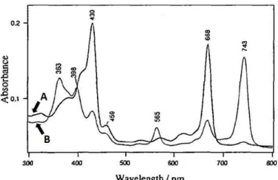 Figure  C :  Spectre  d’absorption  des  complexes  multimériques  CP668  (A)  et  CP743  (B)  liés  à  la  chlorophylle 