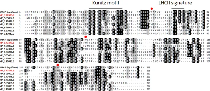 Figure  2 :  Alignement  multiple  de  séquences  des  protéines  présentant  un  motif  Künitz  chez  A