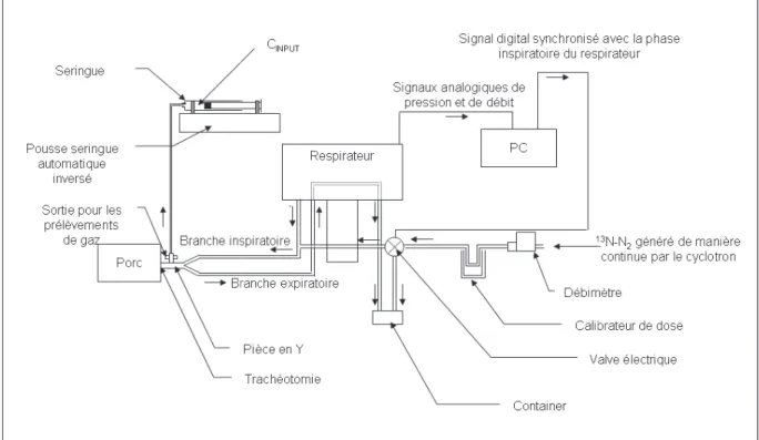 Figure 10: Schéma du système d