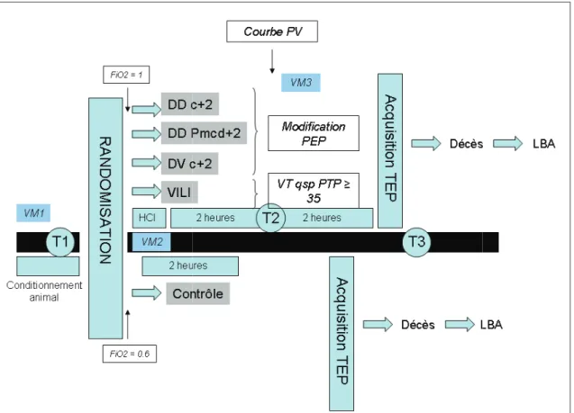 Figure 25 : Protocole expérimenta T1, T2, T3 : mesures hémodynam Acquisition TEP : réalisation des VM : Paramètres ventilatoires 