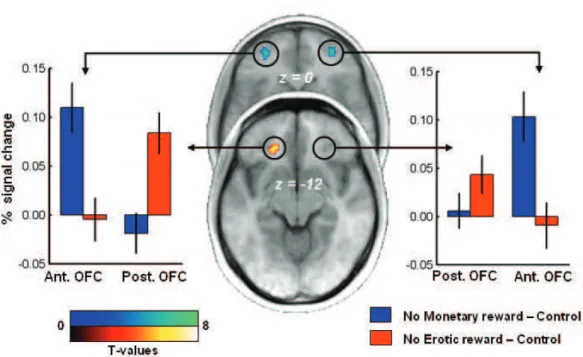 Figure S3. Postero-anterior dissociation in the orbitofrontal cortex depending on reward type  for no-reward outcomes