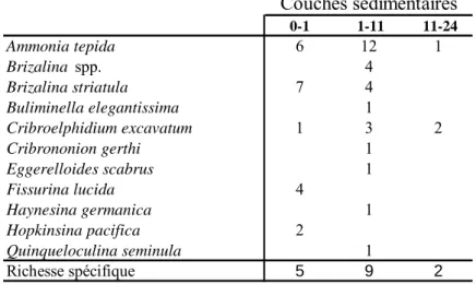 Tableau 1 : Richesse spécifique et nombre d’individus observés par espèce de foraminifère  vivant dans les différentes couches sédimentaires de la station R4 de Rivedoux 