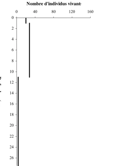 Figure 1 : Répartition verticale des foraminifères vivants (en nombre total d’individus  observés) dans la colonne sédimentaire (0-1, 1-11 et 11-24) des sédiments de la station R4 de 