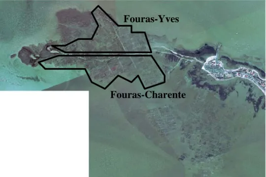 Figure 5 : Photo satellite du site ostréicole de Fouras Fouras-Yves 