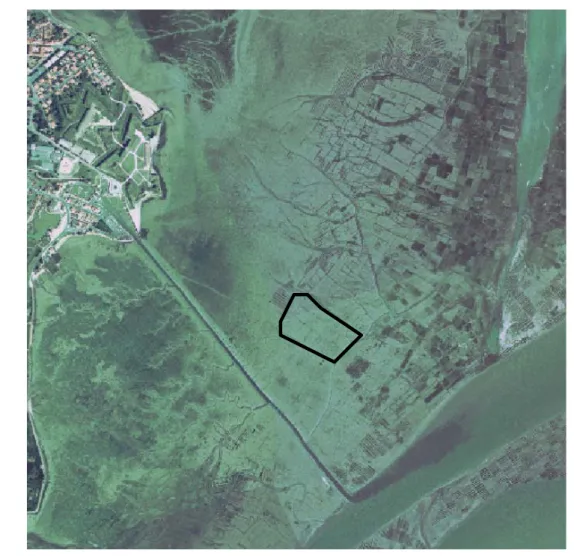 Figure 7 : Photo satellite du site ostréicole de Les Traires 