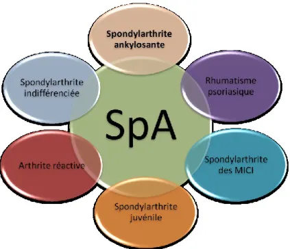 Figure 1. Le concept de SpA et ses différentes formes. 