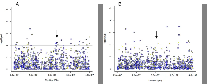 Figure 1. Single-marker association tests of 1,134 SNPs in a 20 Mbases interval flanking the MHC on  chromosome 6p