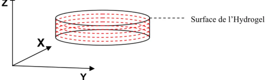 Figure 42 : Schéma présentant l’orientation des coupes réalisées dans le dépôt. 