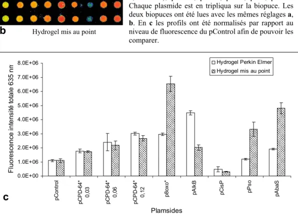 Figure 45 : Comparaison des profils de réparation  d’extraits HeLa nucléaires commerciaux (2 mg/ml)  obtenus sur un hydrogel de chez Perkin Elmer, ou sur  l’hydrogel que nous avons mis au point