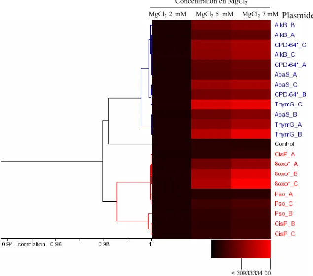 Figure 58 : Effets de la concentration en MgCl 2  sur les activités enzymatiques de réparation des  différents plasmides lésés présents sur la biopuce