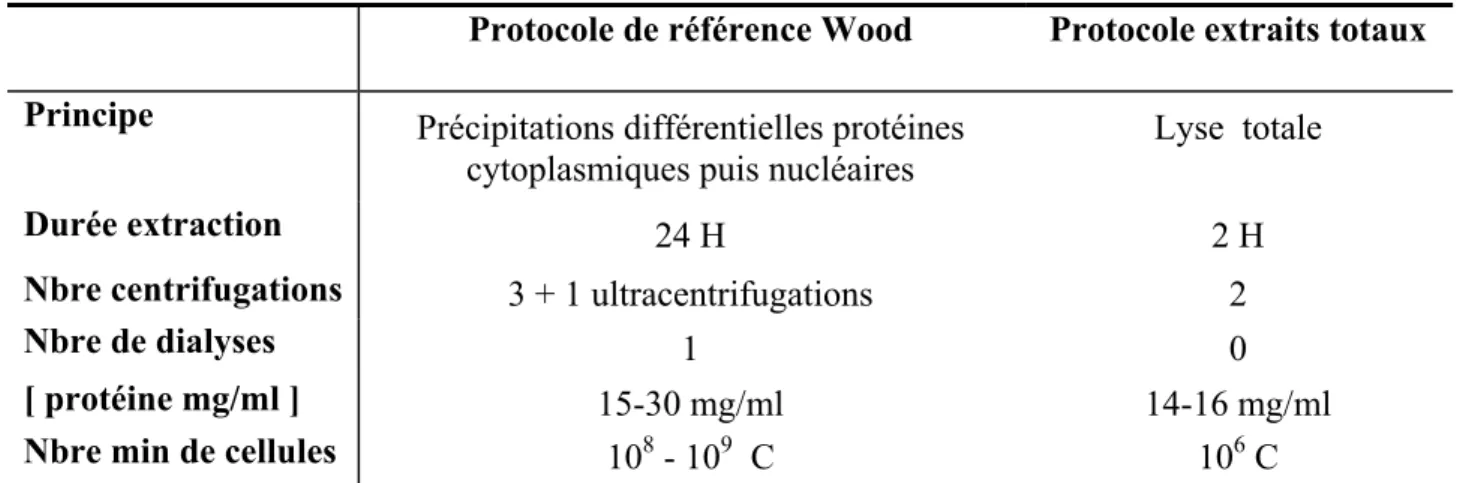 Tableau 13 : Comparaison entre le protocole de préparation d’extraits cellulaires  décrit par Wood et le protocole d’extraits totaux que nous avons utilisé 