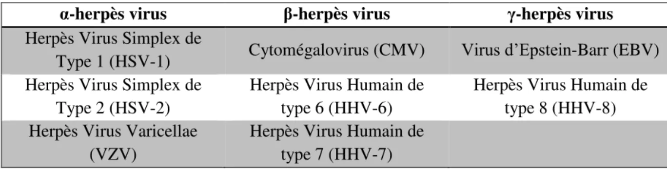 Tableau 1 : Différents groupes des Herpesviridae chez l’Homme 