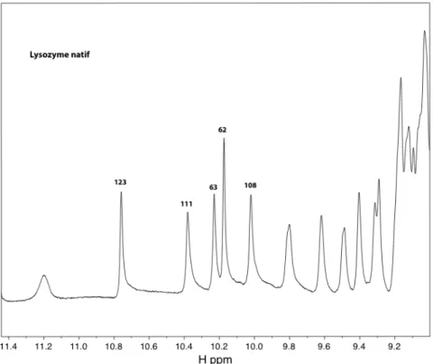 Figure 3.4.2 : Spectre RMN 1D  1 H d'une solution de lysozyme sans ajout de complexe. Aggrandissement du domaine des tryptophanes