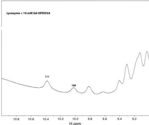 Figure 3.4.4 : Spectre RMN 1D  1 H d'une solution de lysozyme avec 10 mM de Gd-HPDO3A