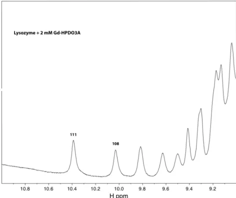 Figure 3.4.3 : Spectre RMN 1D  1 H d'une solution de lysozyme avec 2 mM de Gd-HPDO3A. Agrandissement du domaine des tryptophanes.