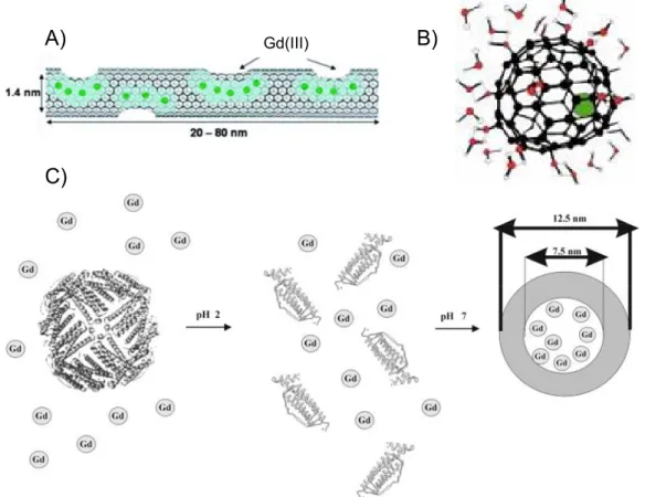 Figure I. 21 : Exemples de nouveaux matériaux pour l’IRM : A) nanotube de carbone « monocouche », [54]   