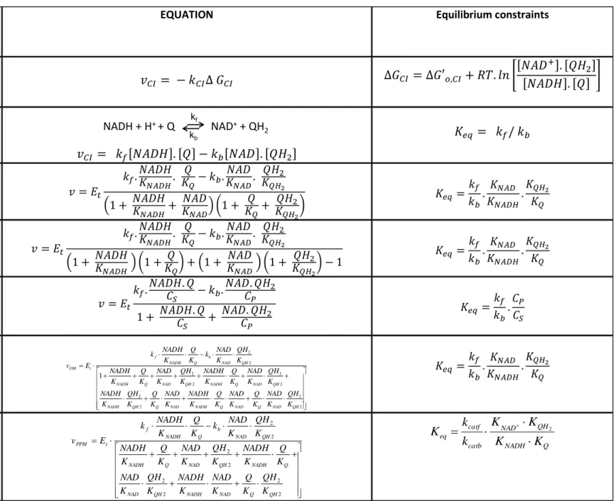 Table 1: The different equations discussed in this paper. 