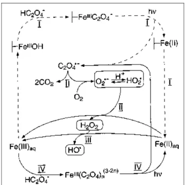 Figure II-B-4. Light-induced iron cycling, and surface (--) and solution (s) reactions in  heterogeneous photo-Fenton systems
