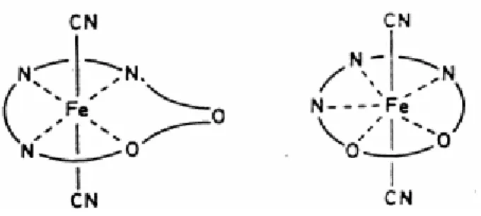 Figure II.2 - Hypothèses de coordination du ligand L 222 (N 3 O 2 ) pour le complexe  [Fe(L 222 (N 3 O 2 ))(CN) 2 ]·H 2 O dans l’état HS selon Nelson et al