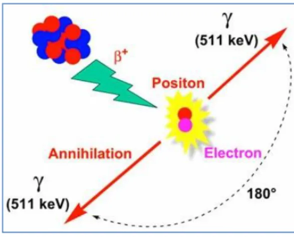 Figure 1: annihilation of a positron 