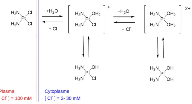 Figure 2. Equilibres impliquant le cisplatine en milieu aqueux et en présence de chlorures