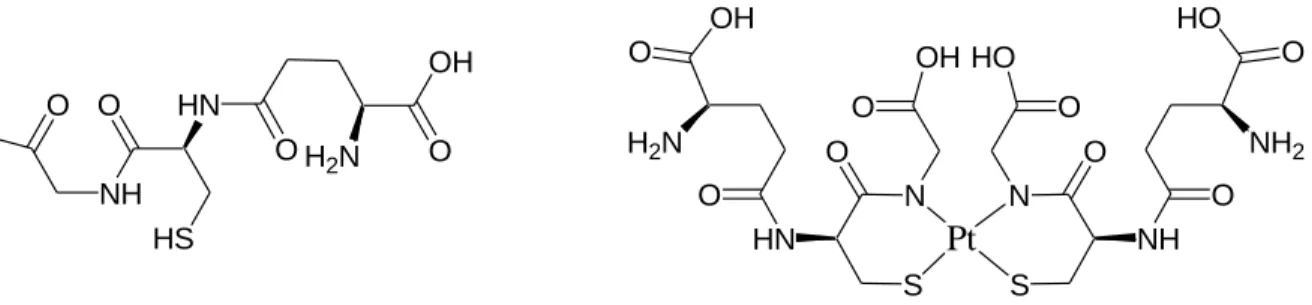 Figure 8. Structure du glutathion et exemple  d’un complexe platine- glutathion . 31