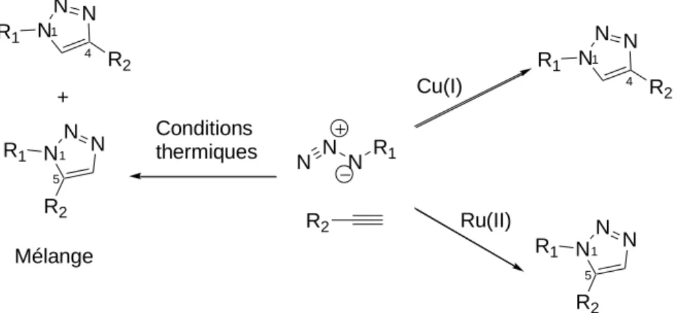 Figure  40.  Schéma  présentant  les  produits  obtenus  par  la  cycloaddition  1,3-dipolaire  dun  azoture et d’un alcyne dans les conditions thermiques ou en présence de catalyseurs cuivre(I) ou  de ruthénium(II)