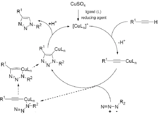 Figure 41. Exemples de ligands triazoles et polytriazoles pour la CuAAC. 
